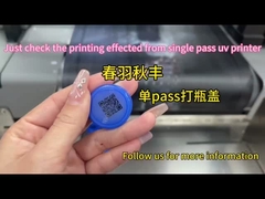 শিল্প একক পাস ইউভি প্রিন্টার প্রিন্টিং ওয়াইড ফরম্যাট প্রিন্টার জলরোধী