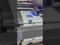 দৃঢ় শিল্প মুদ্রণ যন্ত্র প্রস্তুতকারক গ্রেস্কেল ইউভি প্রিন্টার